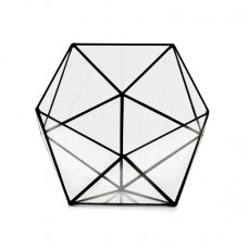 Геометрический флорариум «Икосаэдр» размер «S»